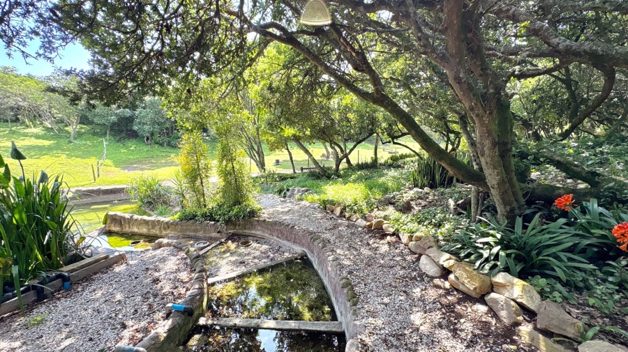 6 Bedroom Property for Sale in Lovemore Park Eastern Cape